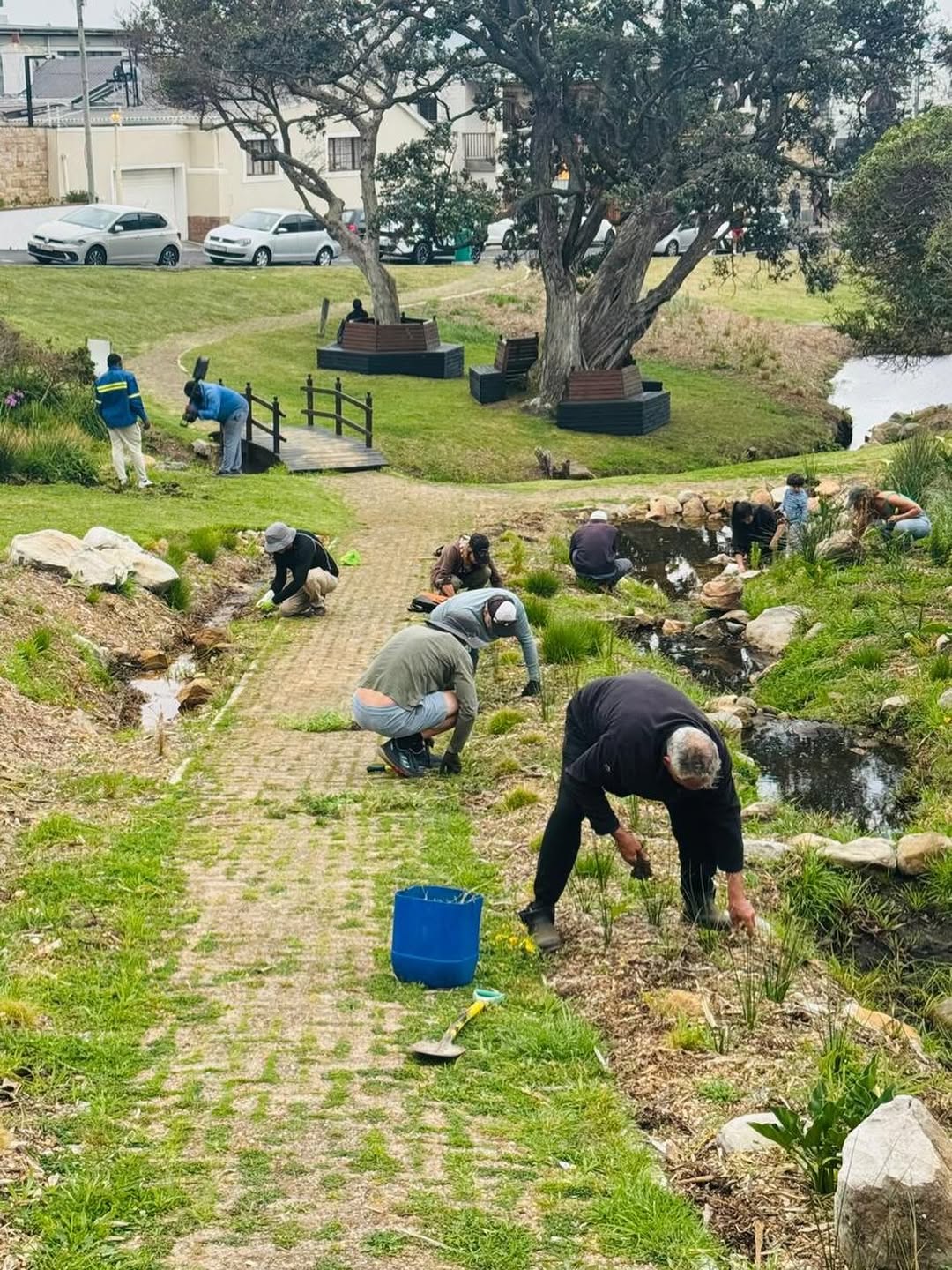 Friends of Muizenberg Park working together