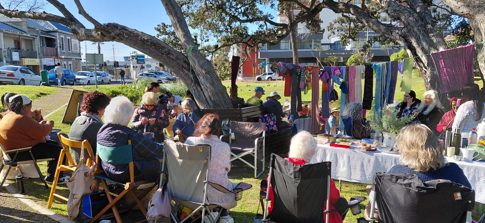 Friends of Muizenberg Park world wide knit day